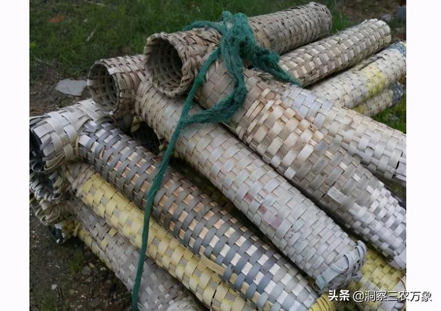 黄鳝怎么捕捉？用上这6种方法后，家里的黄鳝多到吃不完