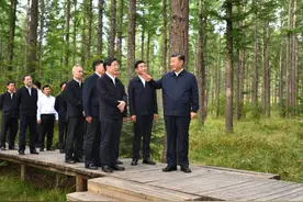 长城大视野 | 总书记去过的塞罕坝究竟有多绿？图片