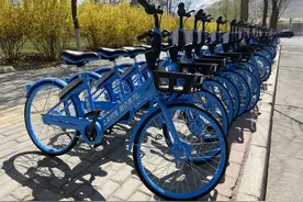 快来看咱定西的共享单车!图片