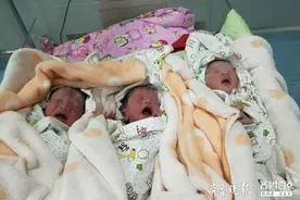 医护齐努力助孕妇脱险，聊城早产三胞胎相继成功顺产图片