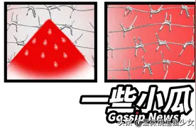 鹿晗被调查？丁禹兮被富婆警告？张子枫天价片酬？图片