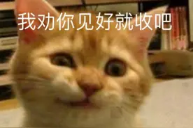 存款变保险，老人收割机：今天，我把银行保险的秘密扒下来了图片