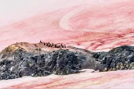 南极又下“西瓜雪”！科学家解读“末日冰川”因何融化？海平面上升如何预测？图片