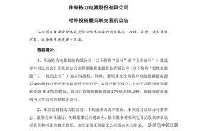 董明珠出手！格力18亿竞得银隆新能源30.47%股权，实现控股图片