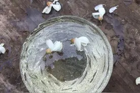 蜂蜜的浓度是多少合适？蜂蜜是多少度才是最好？图片