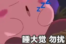 表情包：睡大觉，勿扰图片