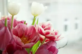 婆婆不是亲妈，有些事情在婆婆面前不能做，希望儿媳能牢记在心图片