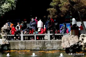 想看苏式园林不用远走，郑州紫荆山公园南面有，小院大景色图片