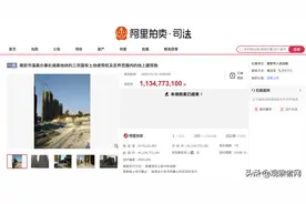 阿里拍卖拍出11.53亿成交价，其优势究竟在哪里？图片