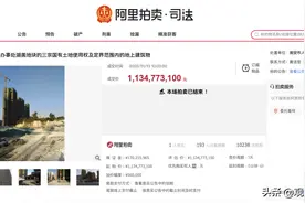 阿里拍卖拍出11.53亿成交价，其优势究竟在哪里？图片
