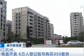 揭秘！杭州一楼盘推出959套房约6万人摇号的背后……图片