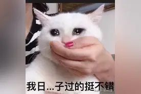 27w瓶牛奶被倒掉，到底是谁该被封杀？图片
