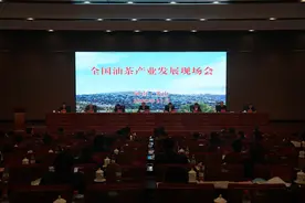 油料上山   荒山变金山——全国油茶产业发展现场会在河南省光山县召开图片