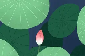 感情一切随缘！不，这样会伤了你的感情图片