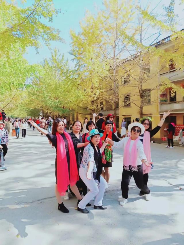 秋风吻尽银杏叶，艳遇醉美帽子峰