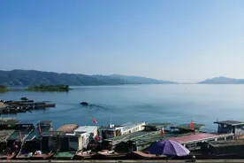广东怎么钓土鲮，鲮鱼配方，钓法，都在这里图片