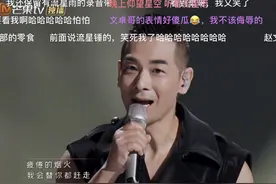因黄飞鸿、梅艳芳、甄子丹3起3落的赵文卓，这次翻红能走多远？图片