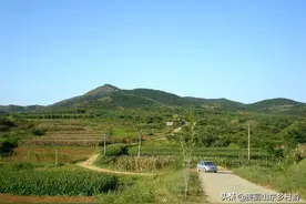 莱阳李家沟乡野民宿，隐居慢生活体验记图片