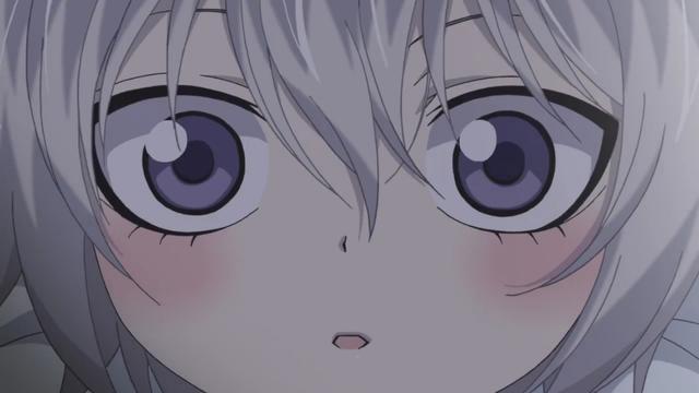 巴卫 是我最最最喜欢的狐狸了,26张软萌易推倒的小巴卫头像