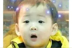 原来我们对麻雀有这么多误解呀图片