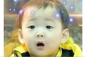 原来我们对麻雀有这么多误解呀图片