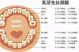 孩子什么时候开始换牙？几岁可以把牙齿换完图片