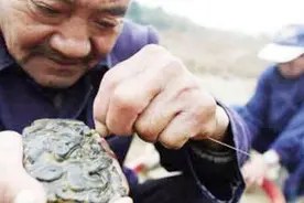 老农挖出一块锈铁，牵扯出的500多箱黄金，是否能“兑现于世”？图片