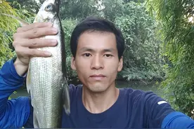 这4种“饿鬼鱼”很贪吃，遇到连杆不是问题，鱼护还得选大的图片