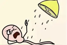 卵细胞为何选择最幸运的精子而不是最优秀的精子？图片