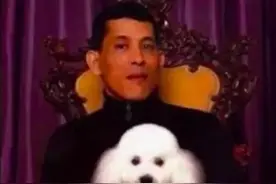 泰国国王待小狗比王妃好，流水的王妃铁打的狗图片