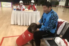 “汪汪队立大功”5岁导盲犬茶茶跟随主人征战残特奥会图片