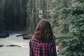 抱歉，你只是看起来很努力图片