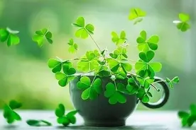 散文：人生路上，学会善待自己图片