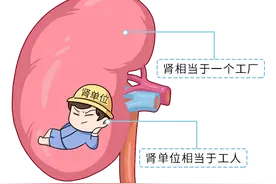 人体切除一个肾有什么影响？还能活，但这些影响会伴随你一生图片