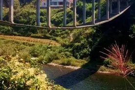 设计师吴琦瑛仅初中学历，却造出悬空"神桥"，施工图是否拿反了？图片