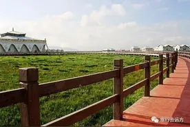 8、今夜我在德令哈图片