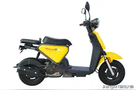 售价不到4千，解析城市通勤利器：小型摩托车轻骑铃鹿，油耗2.3升图片