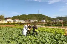 无党派人士蔡静：疫情面前勇于担当，抗疫一线主动作为图片