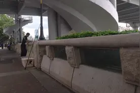 珠江边的职业钓鱼人，一天可赚六百，其他钓鱼人：这样钓鱼不纯粹图片