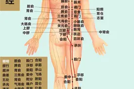 下午3-5点敲打膀胱经，为什么疏通膀胱经能治许多病？看了你就懂图片