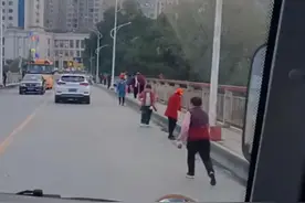 疯狂！蟾蜍吃了会吐的“臭屁虫”，这几十人为何横穿马路争捡？图片