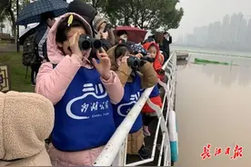 这鸟真聪明，会叼面包钓鱼，知名科普博主带武汉小学生观鹭图片