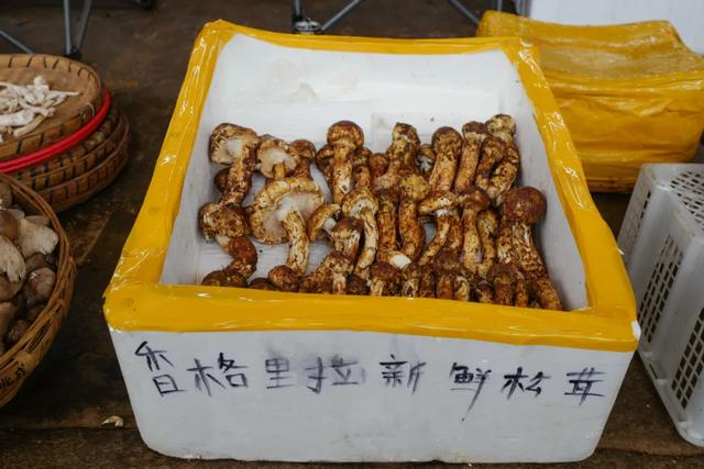 吃蘑菇起鸡皮疙瘩 吃蘑菇起鸡皮疙瘩