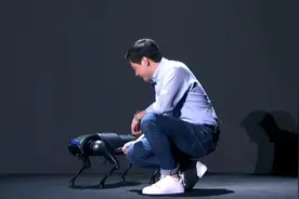 机器人娱乐时代已至？造狗，小米不孤独图片