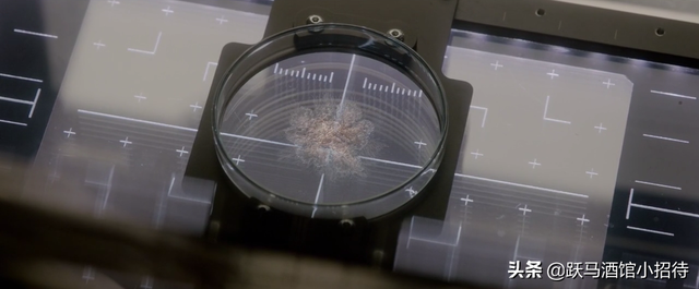 解释一下《异星觉醒》最后的结局