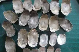 村民盖房挖出银子，被要求无偿上交给国家，法院判决如何？图片