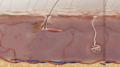 沙宣“退位让贤”，护发届翘楚“阿玛尼”上线，网友：良心洗发水