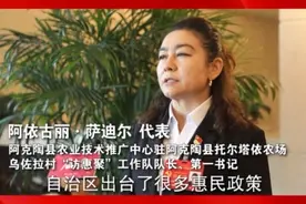 代表声音 | 阿依古丽·萨迪尔：我们的村子变了样图片