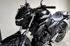 飞致250“海外版”正式上市，售价不到1.5w，科幻外观、标配ABS图片