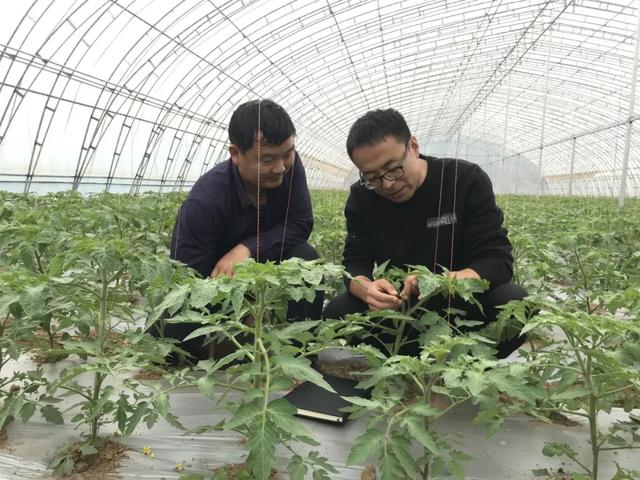 种菜不卖菜,农科城里造“芯片”!